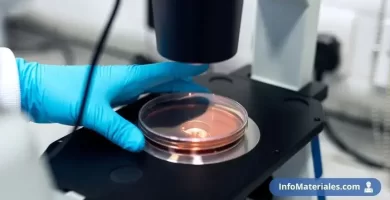 materiales-de-laboratorio-de-microbiologia